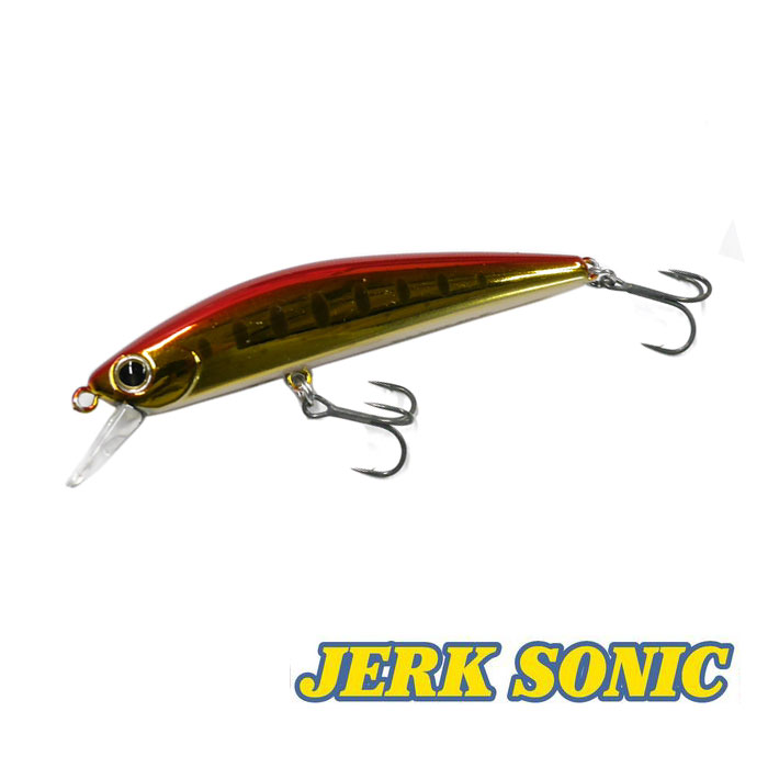 ウォーターランド ジャークソニック 65 ヘビーウェイト 【1】 - 【バス