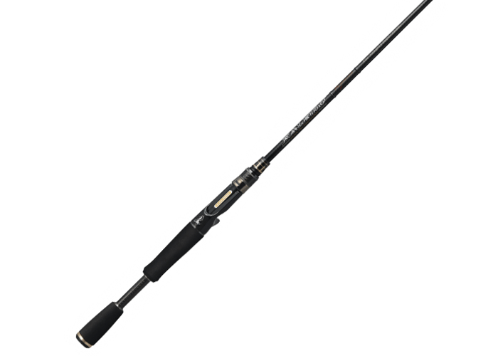 EVERGREEN/エバーグリーン カレイド/インスピラーレ ブラックシリーズ