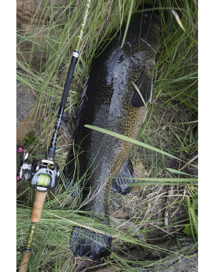 ジェットスロウ ジェットセッター 63C JetSlow - 【バス・トラウト