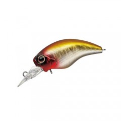 エバーグリーン ソルティーセンセーション スペリオルシリーズ SPRS