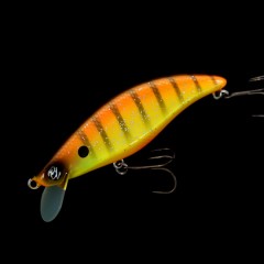 オーバスライブ モラモラ ドリュー インジェクションモデル OBASSLIVE