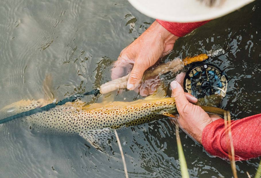 R.L.Winston Rod Air2 | ウィンストン エア・ツー 正規取扱店:BLUE DUN