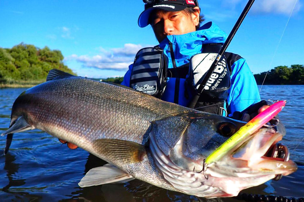 アウトスター120S | アウトスター | ルアー | 製品 | BlueBlue -ブルー