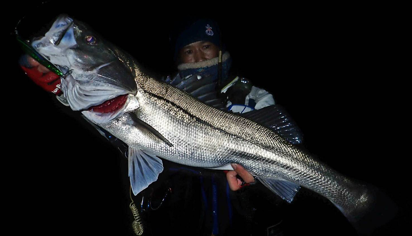 ブローウィン！125F-Slim | ブローウィン | ルアー | 製品 | BlueBlue