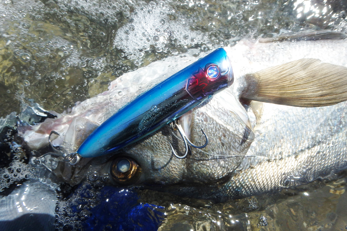 ガチポップ100 | ガチポップ | ルアー | 製品 | BlueBlue -ブルー