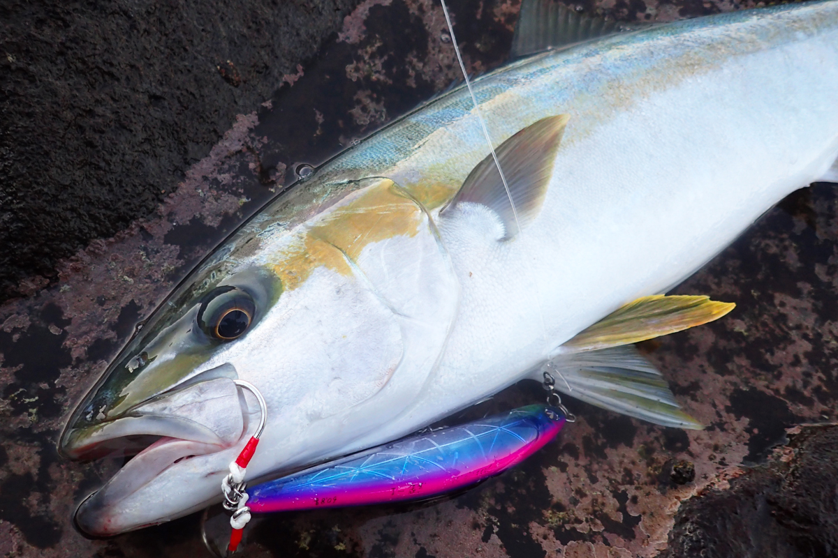 ガチペンスイマー180 | ガチペン | ルアー | 製品 | BlueBlue -ブルー