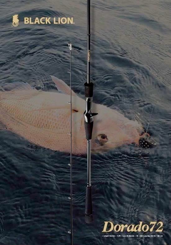 春のタイラバシーズン 】 | BLACKLION(ブラックライオン)公式サイト