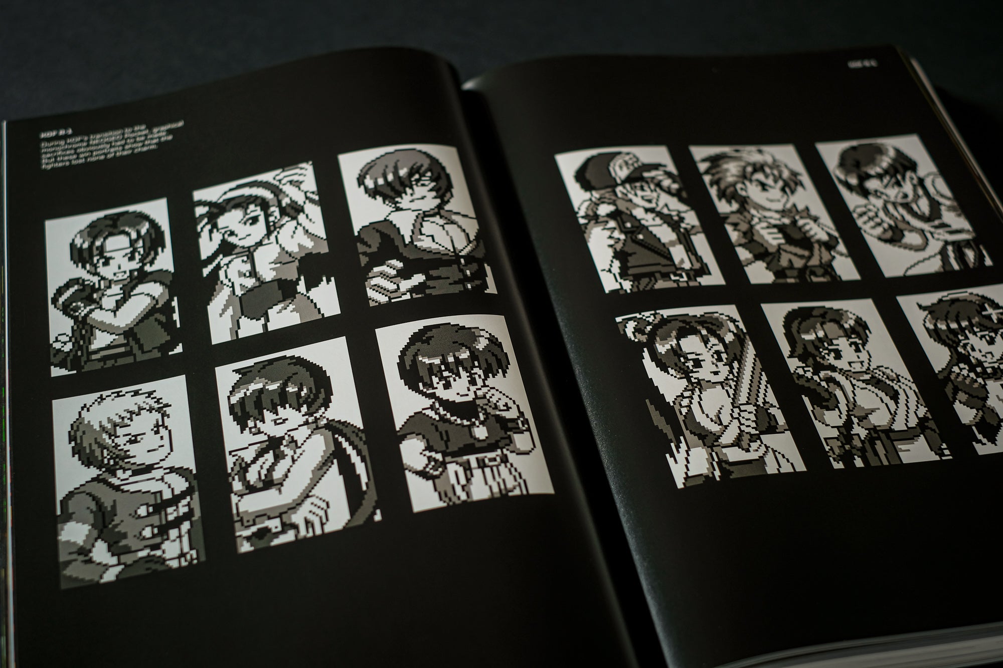 THE KING OF FIGHTERS: The Ultimate History – SNK untold | Bitmap Books
