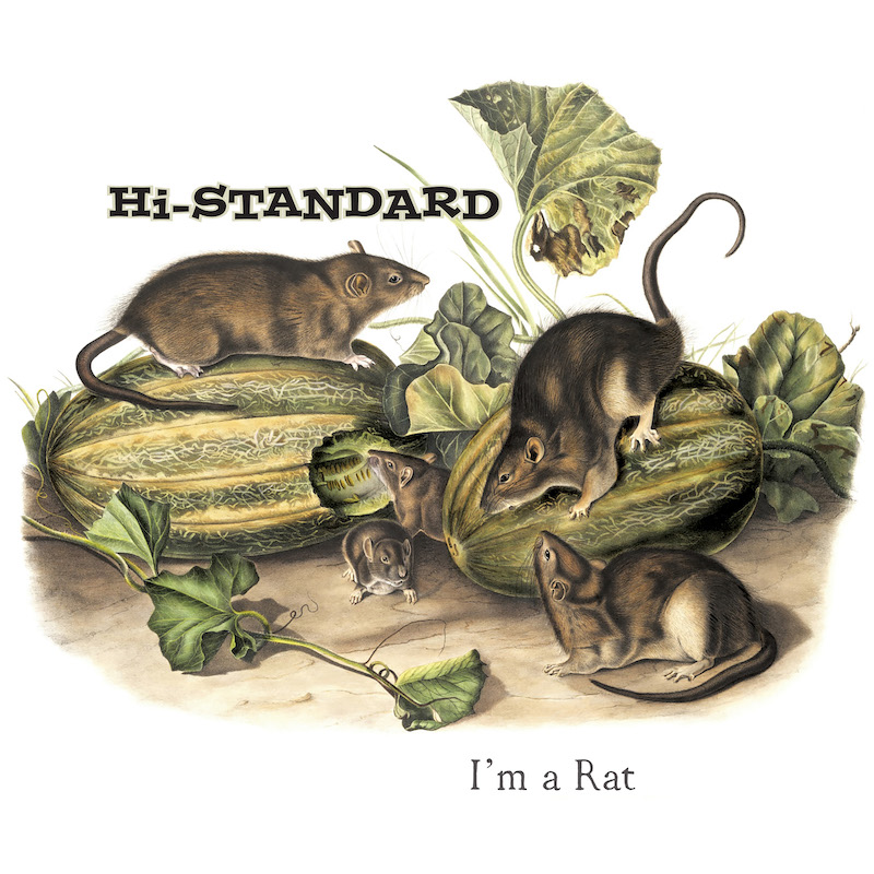 Hi-STANDARD「I'M A RAT」が、米所属レーベルから7インチ・ピクチャー