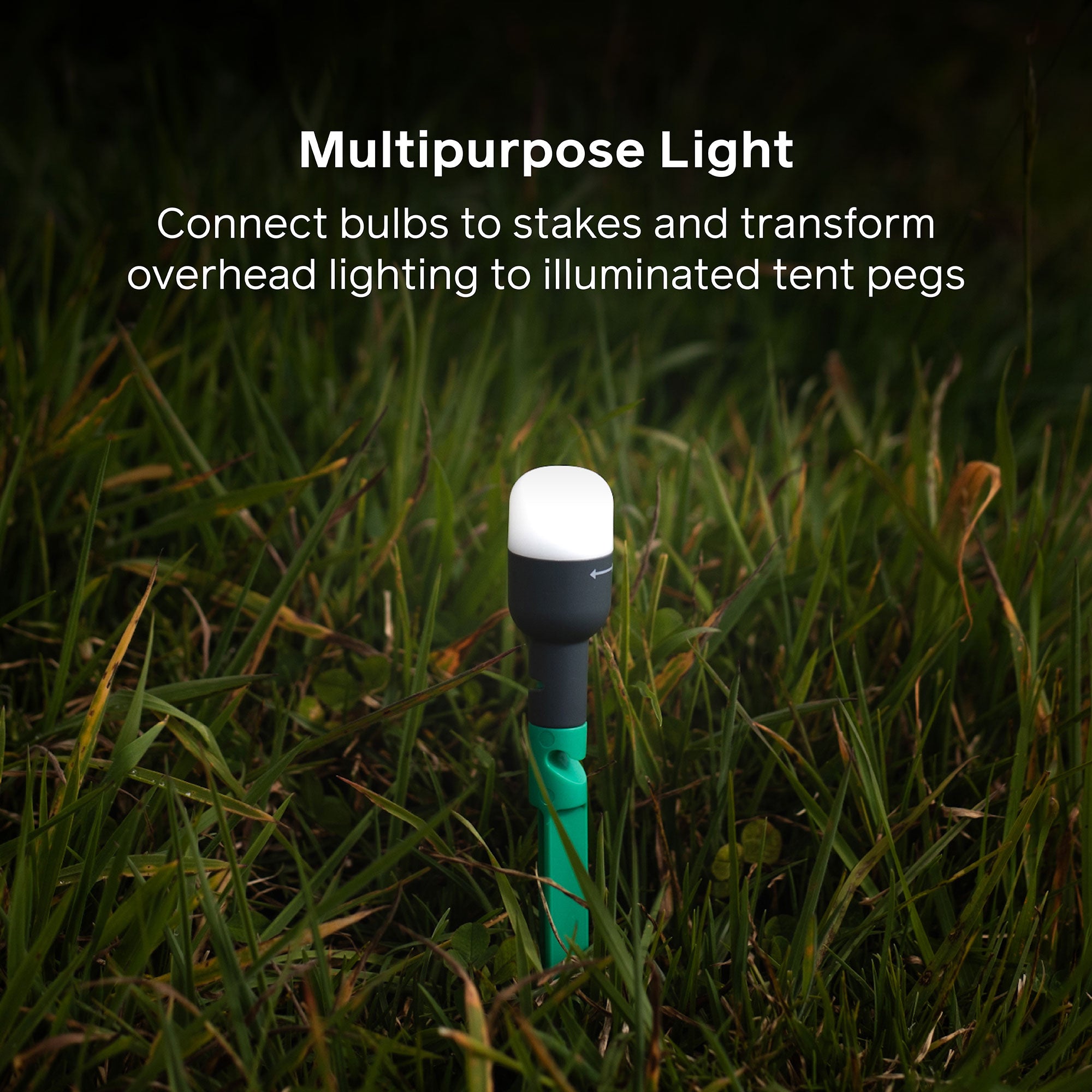 Site Lights - Solar Stake or String Lights – BioLite