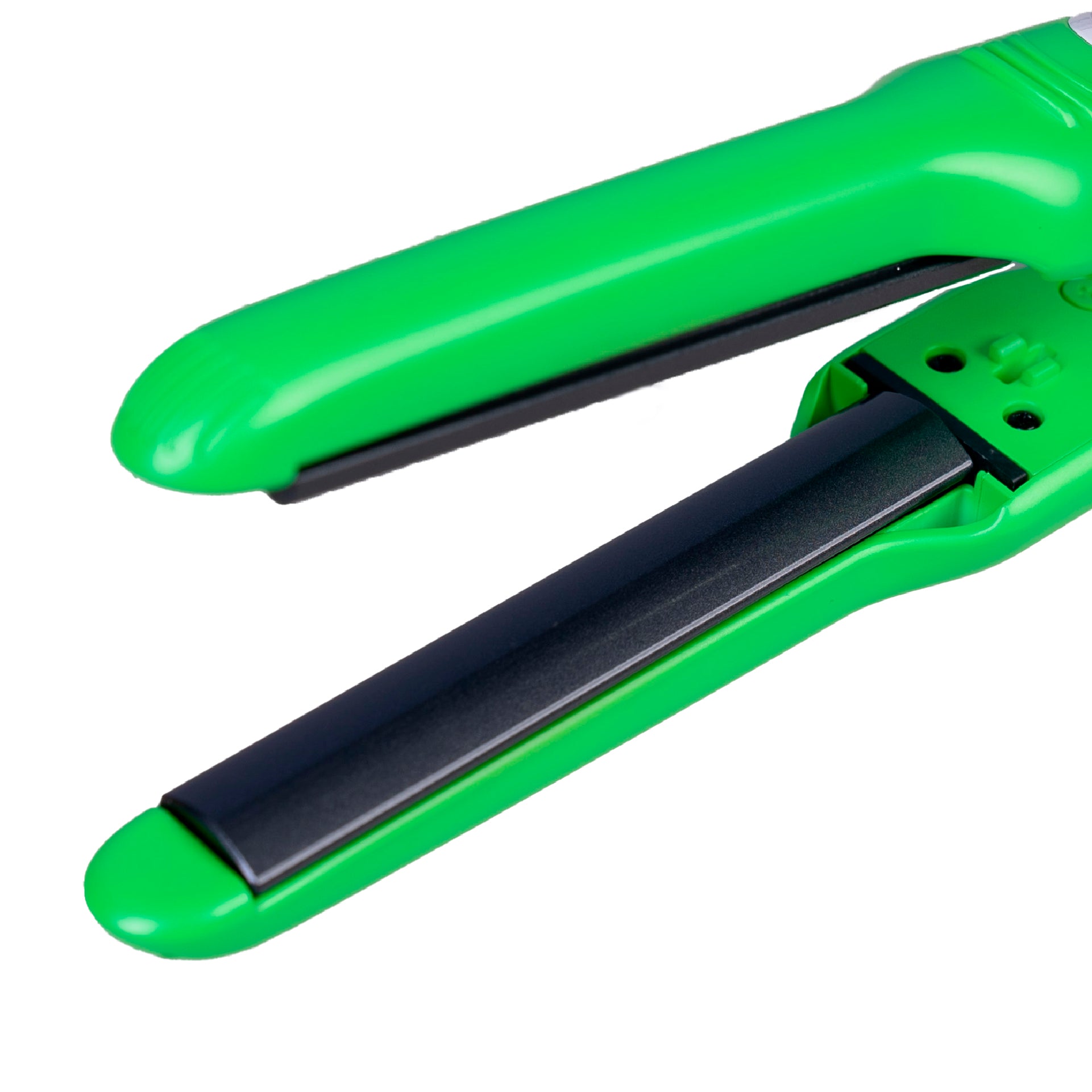 EASY IRON イージーアイロンキャベツ – BUDDY FACTORY