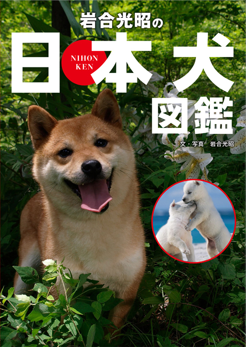岩合光昭の日本犬図鑑 | 児童書・一般書 | 文溪堂