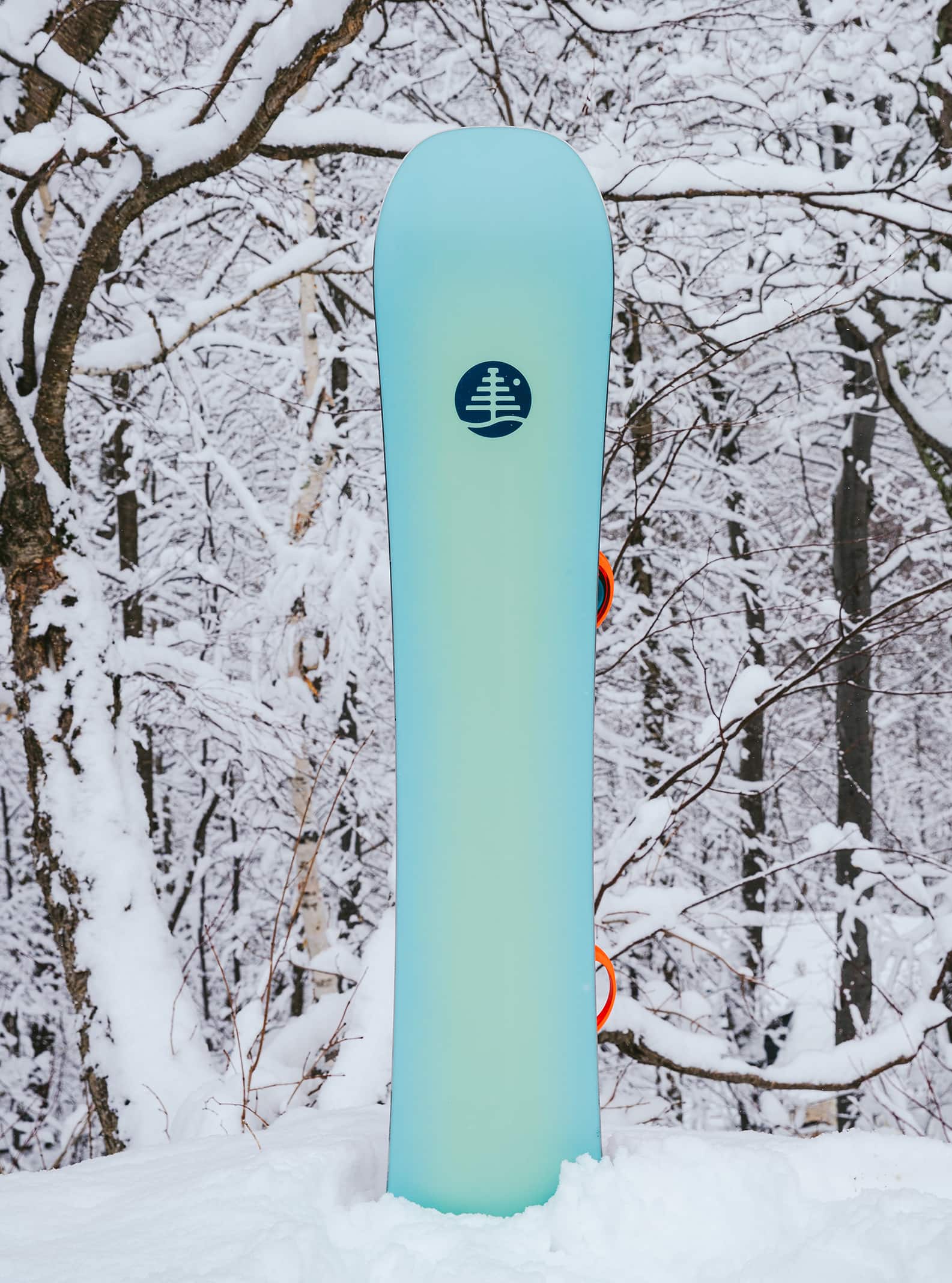 Burton Family Tree Leader Board Camber Snowboard | Burton.com