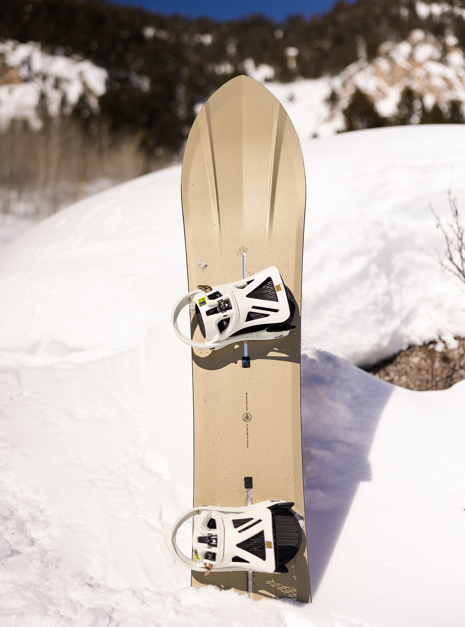 Burton Family Tree 3D Deep Daze Flat Top Snowboard | Burton.com