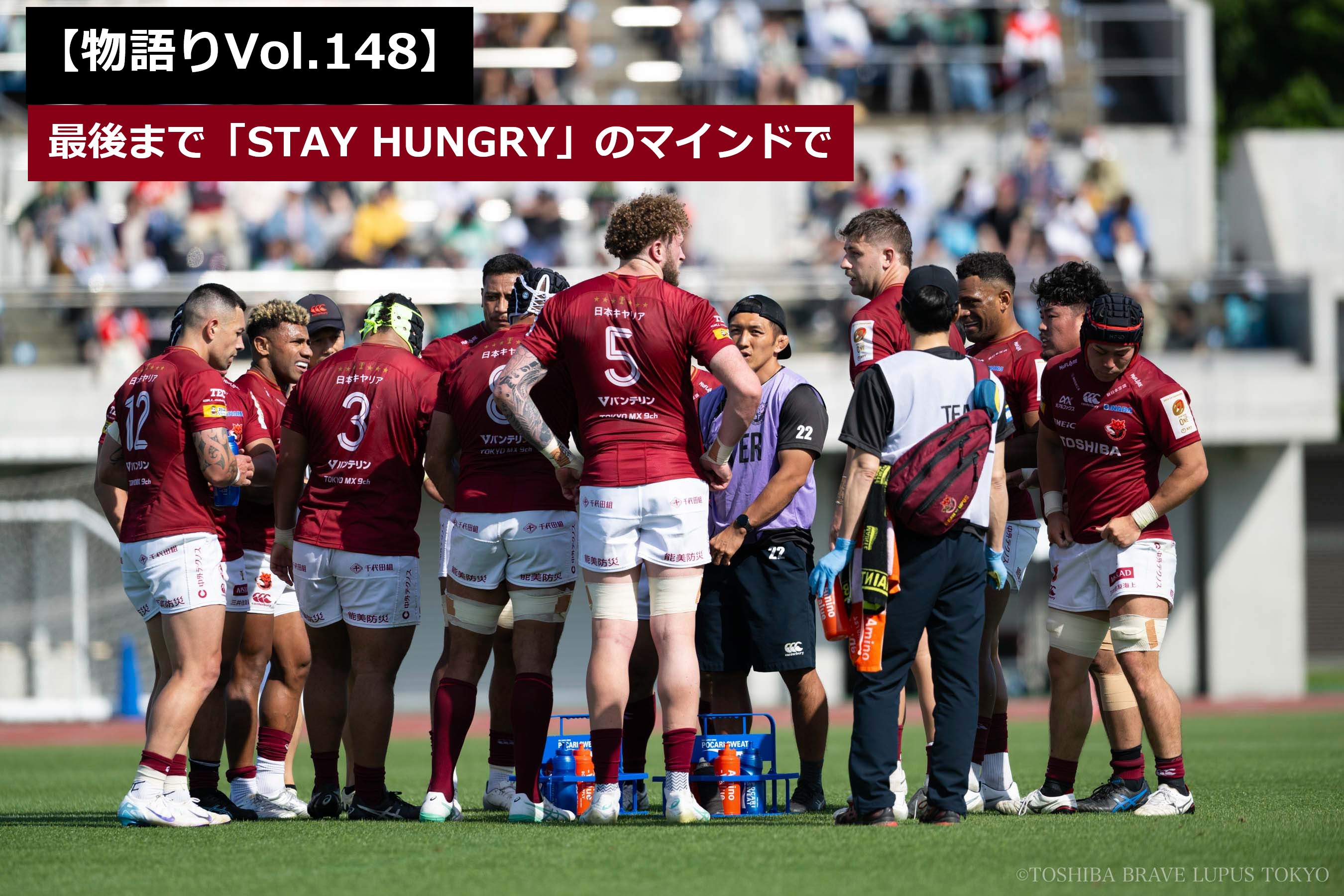 東芝ブレイブルーパス 薄手ヤッケ上下 2024-25シーズン公式戦ジャージ