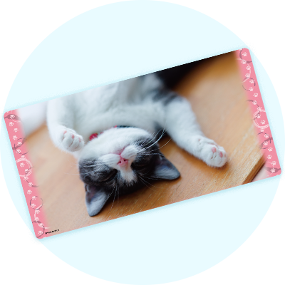 ブロッコリートレカアイテムくじEX「猫これくしょん」｜ブロッコリー