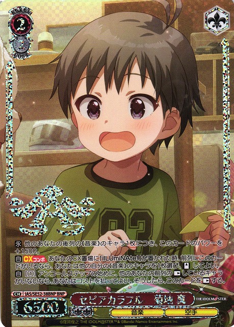 WS】セピアカラフル 菊地 真(箔押し)【BNP】IAS/SE52-38BNP - C-labo