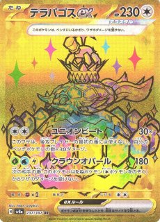 ポケカ】テラパゴスex【SAR】SV8A 226/187 - C-labo OnlineShop