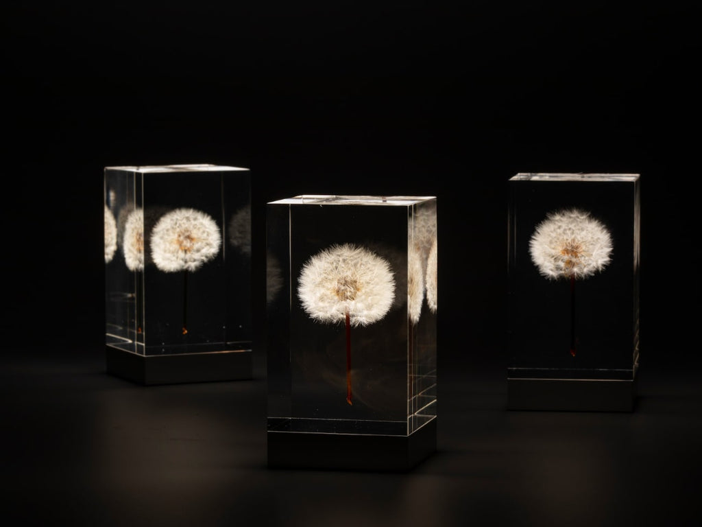 週末値下げ 井上隆夫 LEDタンポポライト アクリル 希少 TAMPOPO Light