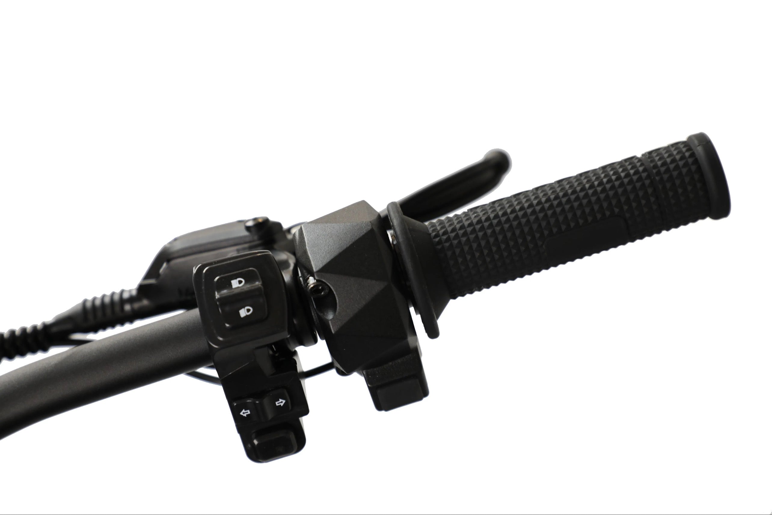 IMG-0475.jpg?v=1742918100&