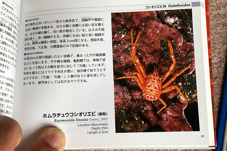 エビ・カニの図鑑 - 編集後記 - 豪海倶楽部