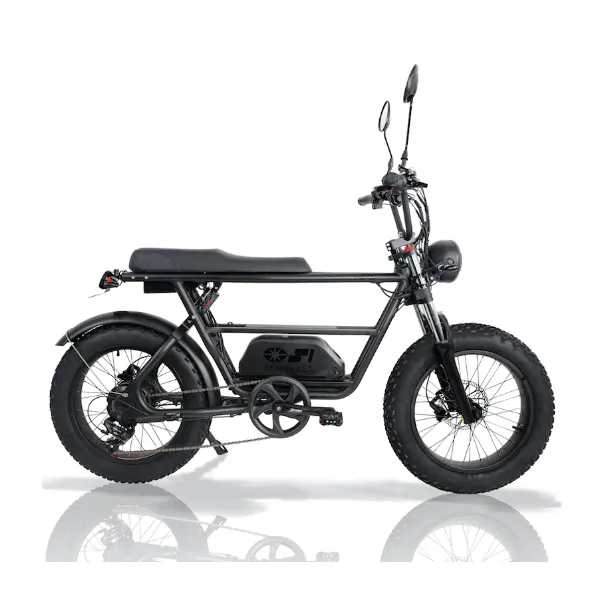 公道可能な電動モペット（フル電動自転車）のことなら【グーバイク】