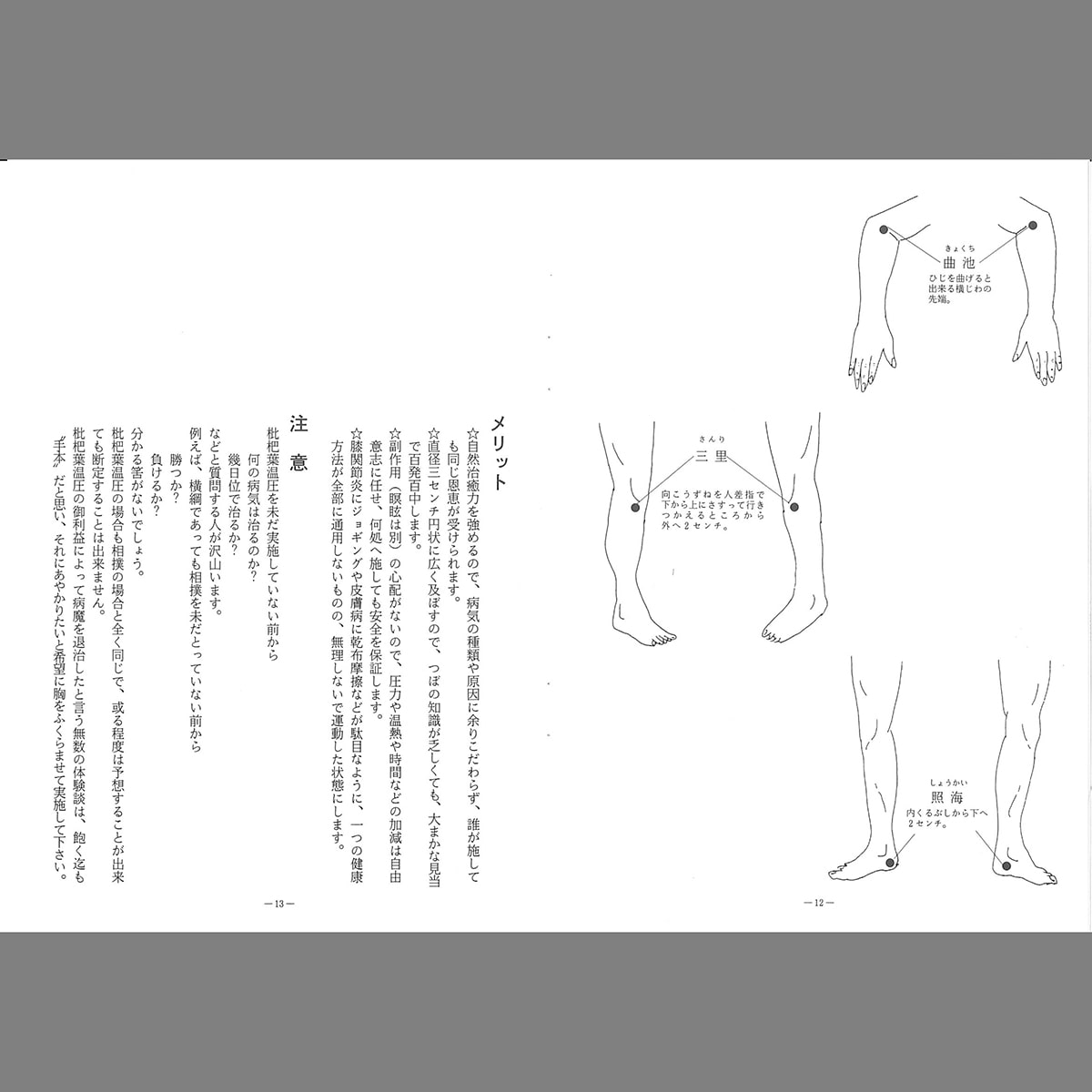 GAIAネット濱田家家伝 枇杷葉温圧セット: お手当てオーガニック＆無