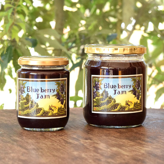 GAIAネット[※]Zion Valley Farm ブルーベリージャム 240g(240g): 加工