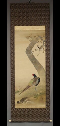 今尾 景年(いまお けいねん)「櫻花彩雉図」(京都) | 掛け軸・日本画の