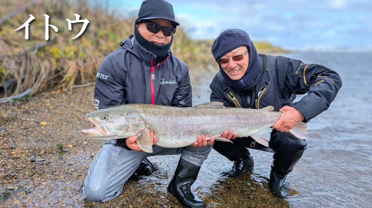 ストレッチウィンドブレーカー&アクティブパンツ GM3654 | がまかつ