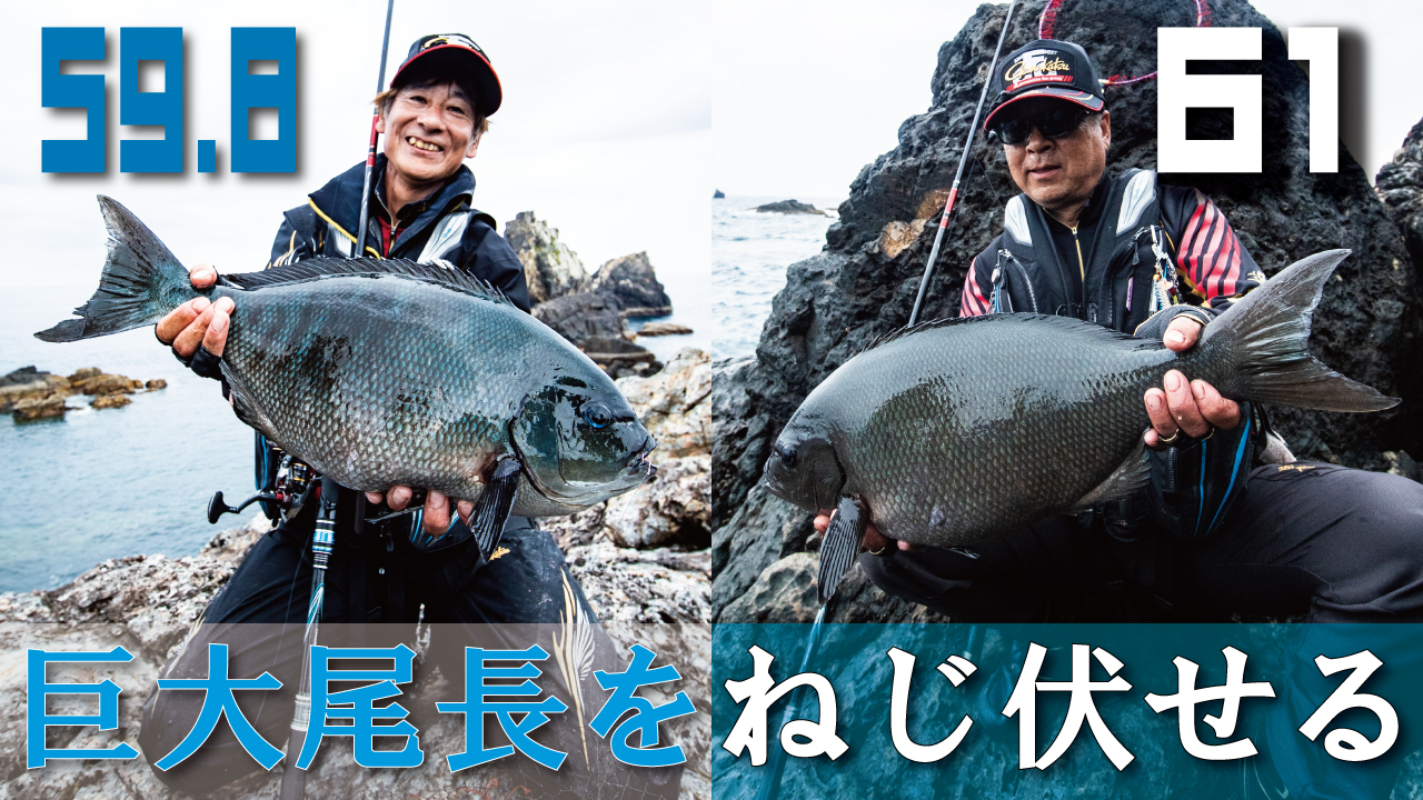がま磯アテンダーIII】マイクロドローンで巨大尾長との壮絶ファイトを
