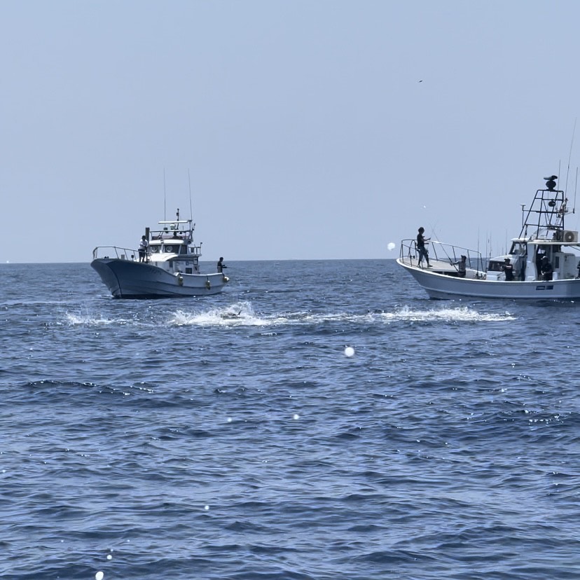 ラグゼ トップギア X | がまかつ