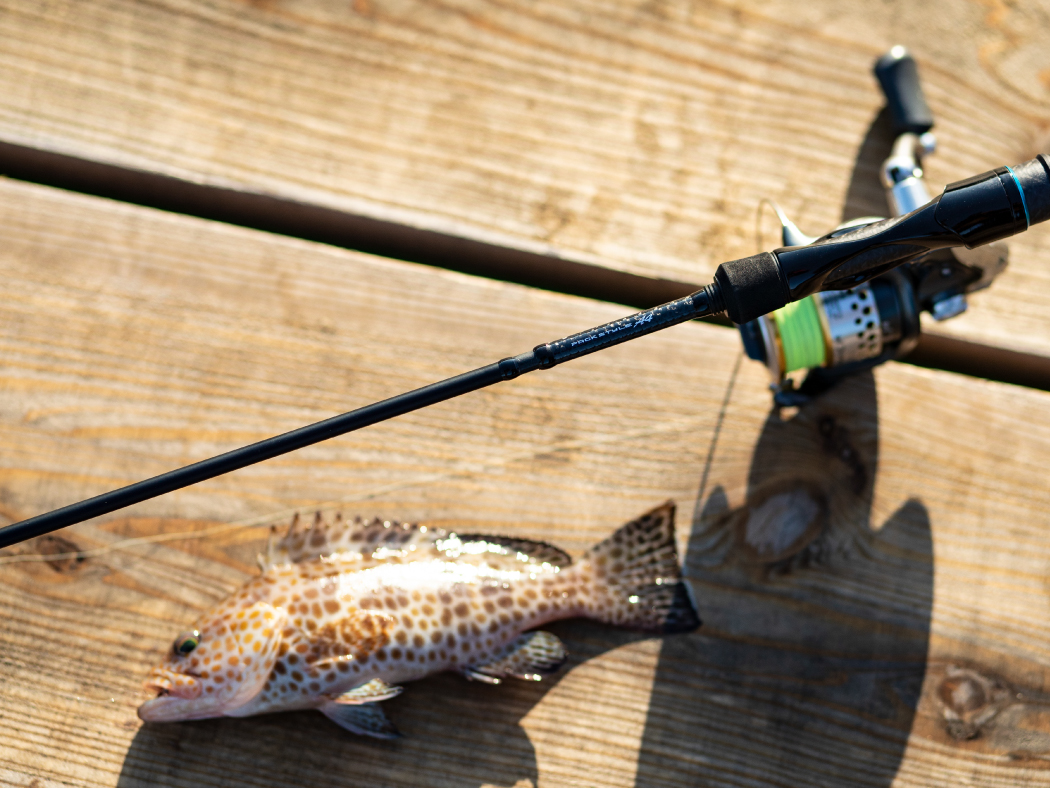 ラグゼ パックスタイル A4 | がまかつ