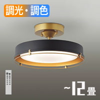 ヴィンテージモダン リモコン式 シーリングライト ~12畳・ブラック色