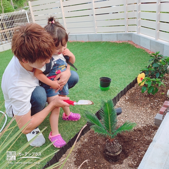 東京都町田市 S.S.様の植栽(ソテツ) | お庭づくり・ガーデニング特集事例