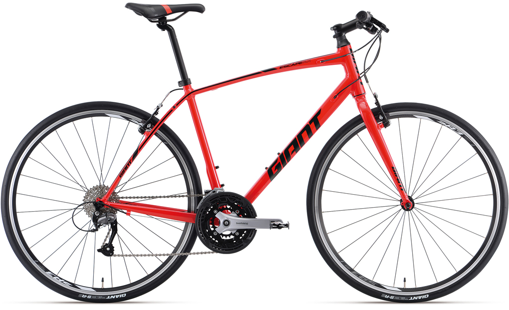 2019 GIANT Bicycles | ESCAPE RX 3