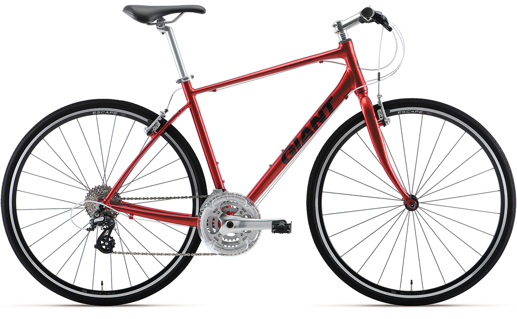 2020年NEWモデル！GIANTのクロスバイクが先行発売されました