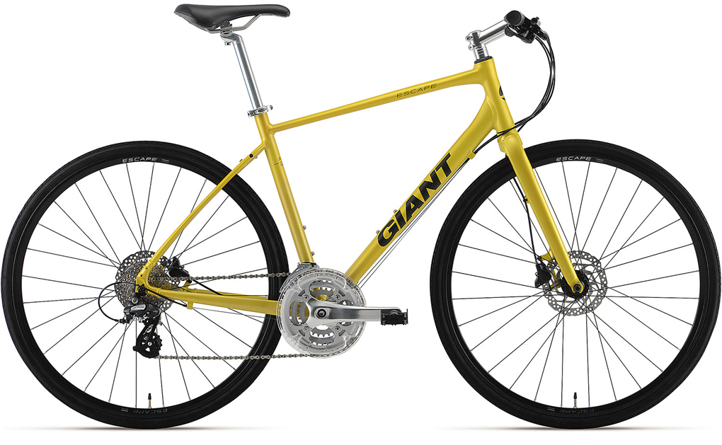 2019 GIANT Bicycles | ESCAPE R DISC (2020 NEW)