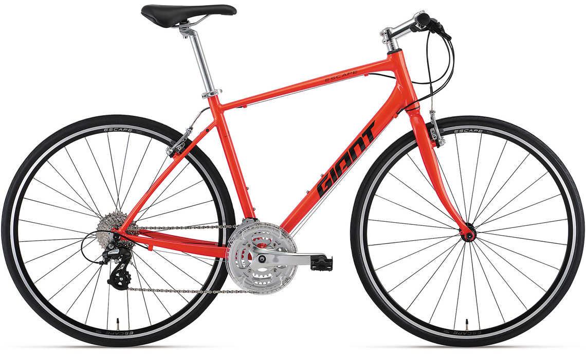 2021年NEWモデル！GIANTのクロスバイクが先行発売されました