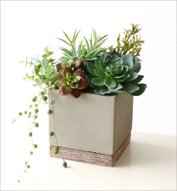 鉢 プランター セメント 四角 おしゃれ かわいい 可愛い 植木鉢