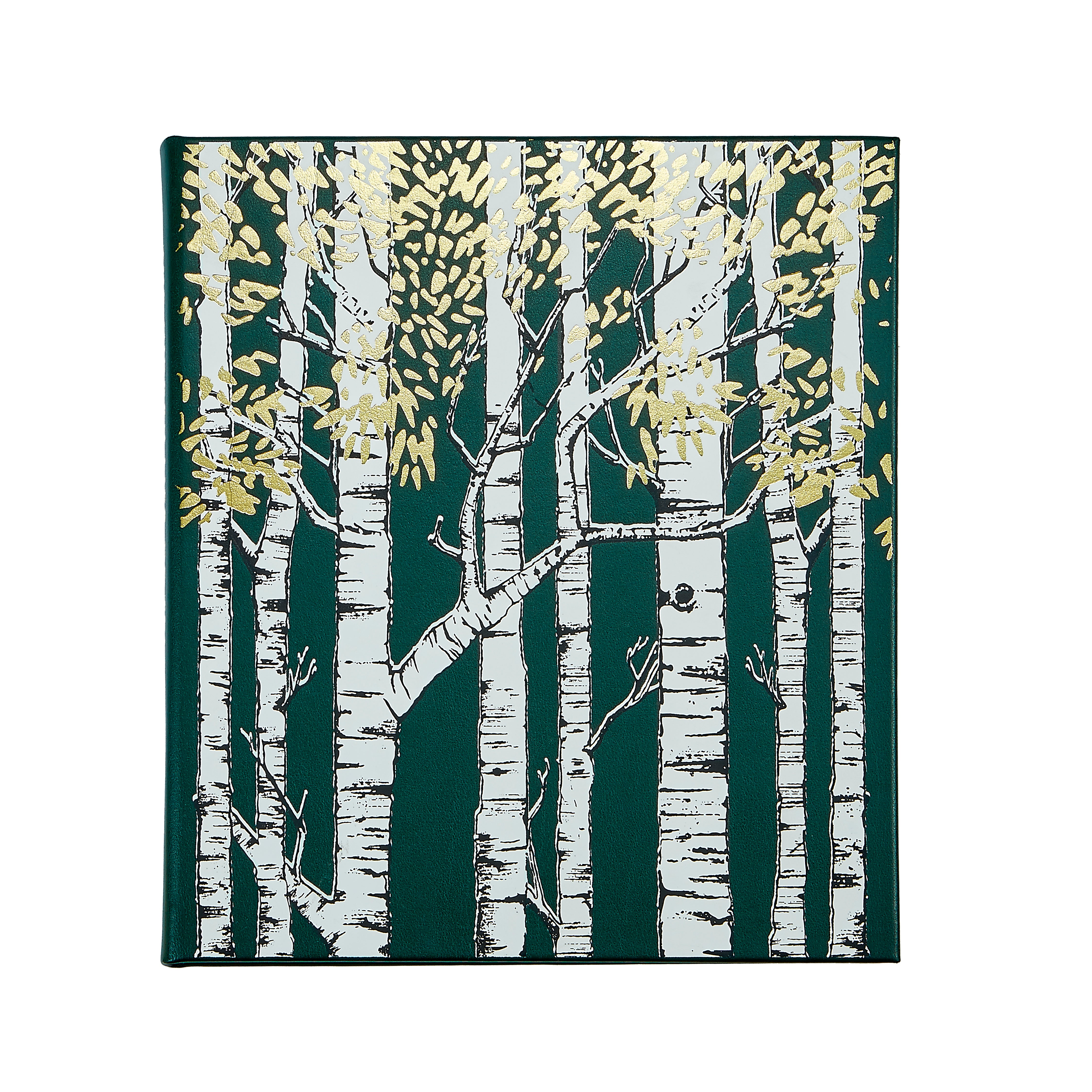 HiddenTrees2straight-2.jpg?v=