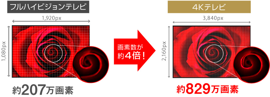 テレビ, テレビ本体・テレビ関連 | GH-TV50D-BK | GREEN HOUSE