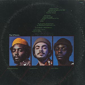 The 3 Pieces / Vibes Of Truth(LP) / Fantasy 1975 USオリジナル盤 VG