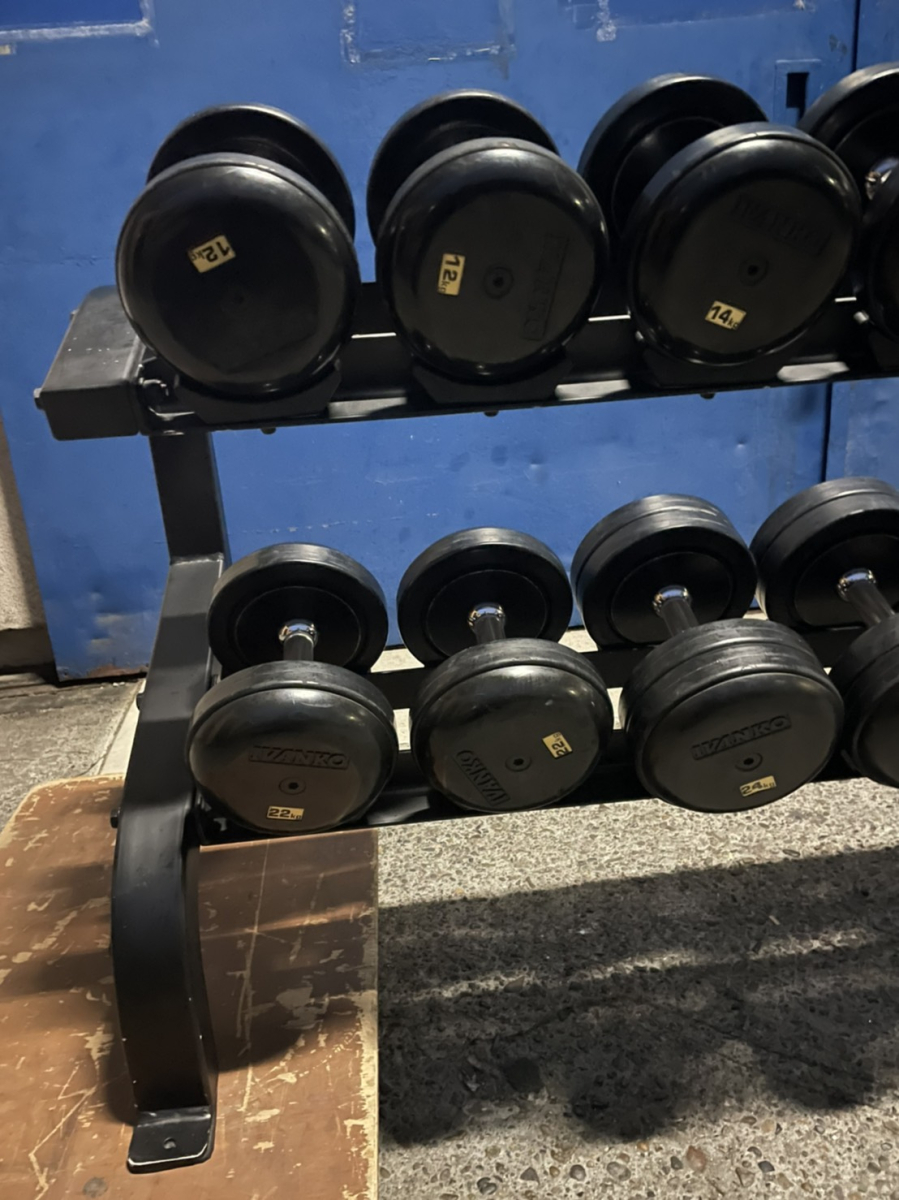 2段ダンベルラックセット（SDKRダンベル12～30kg）（中古）（IVANKO