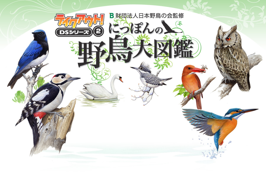 テイクアウト！DSシリーズ 2 にっぽんの野鳥大図鑑