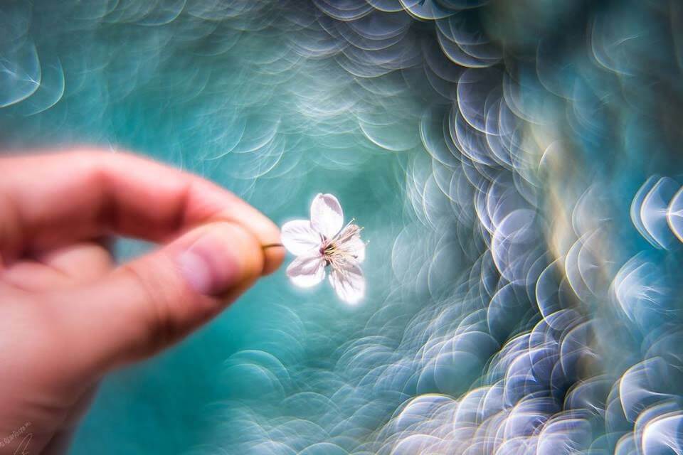 オールドレンズを改造した“魔法ボケ”レンズが超バブリーで幻想的