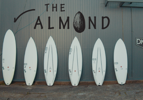 DMS サーフボード 日本公式サイト( DMS Surfboards Japan official site )