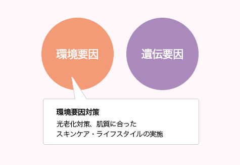 DNA BEAUTY 肌質遺伝子検査キット｜遺伝子検査キット｜遺伝子検査