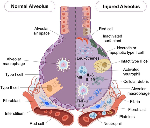 Bioactive Nanomaterials: Comprehensive Monitoring and Regulation