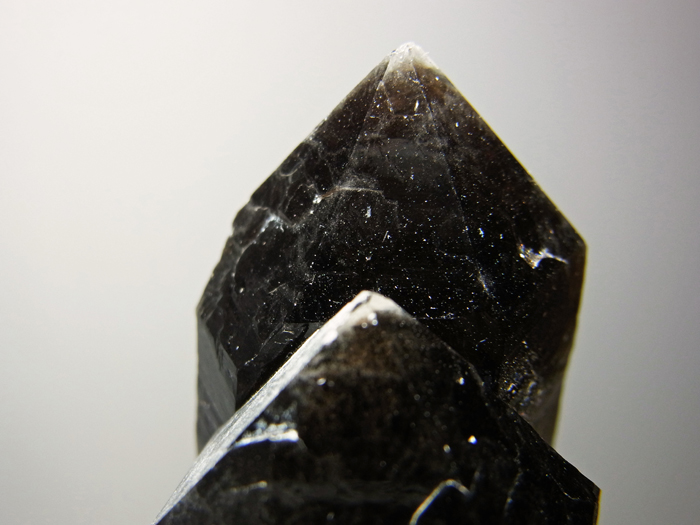 岐阜県蛭川田原産 煙水晶 (Smoky Quartz / Japan) - 鉱物標本販売店